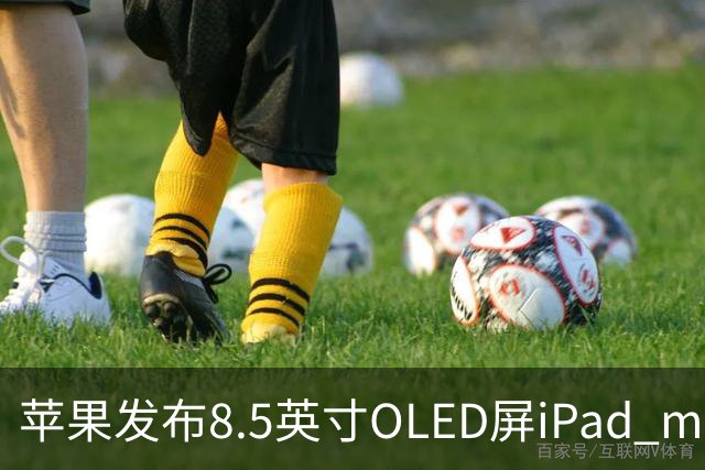 苹果发布8.5英寸OLED屏iPad mini，起售价699美元